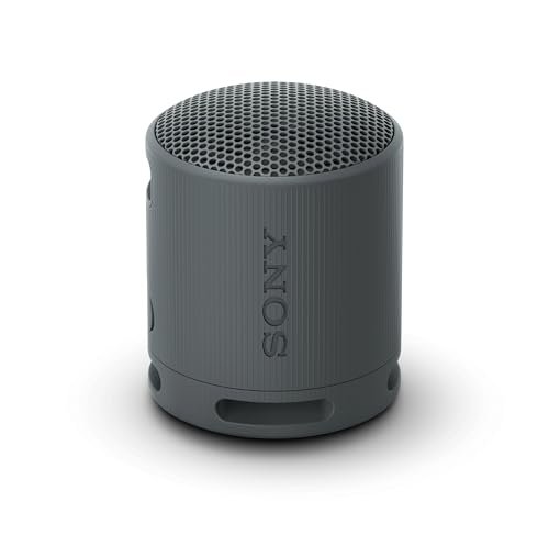 Sony SRS-XB100